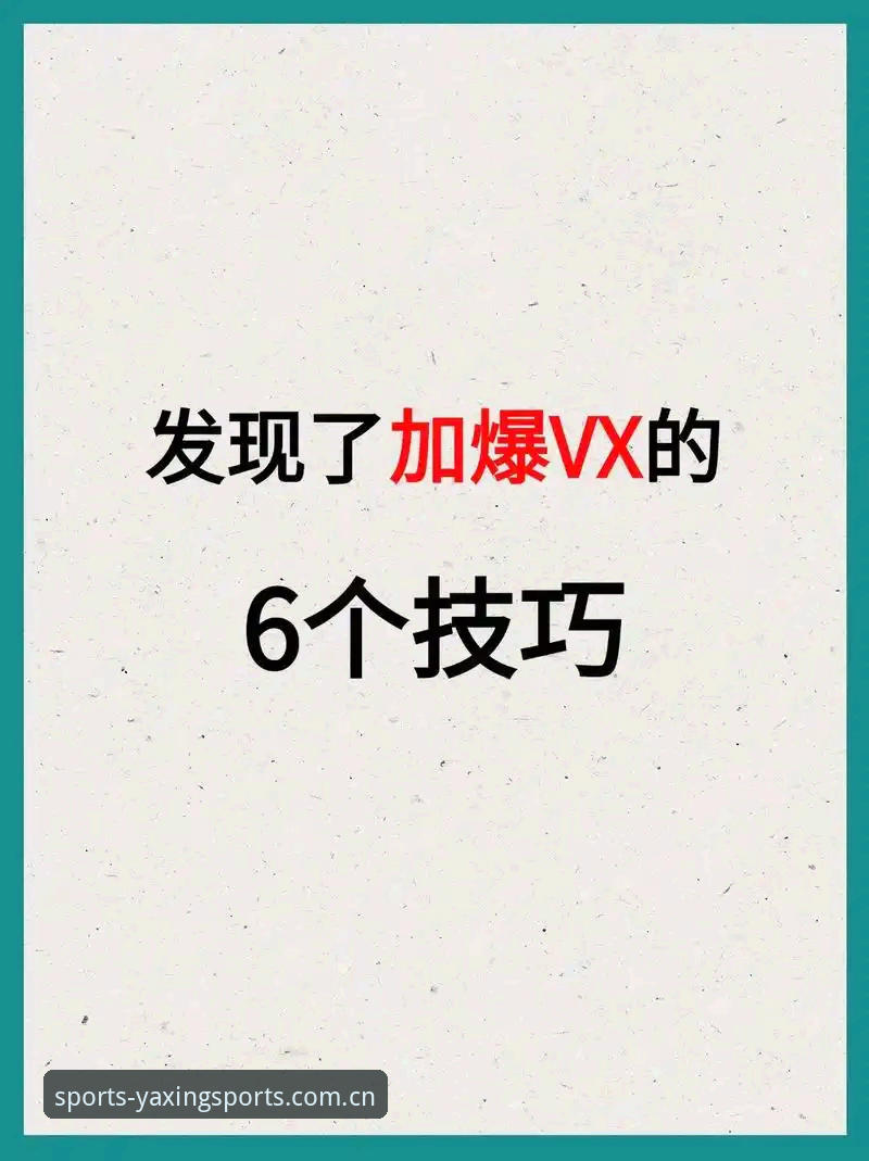 亚星体育平台v2.0.5版本最新动态：实战技巧与使用心得全面分享